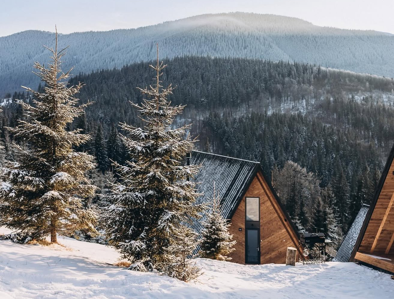фото заходу Поїздка в Карпати 🏔