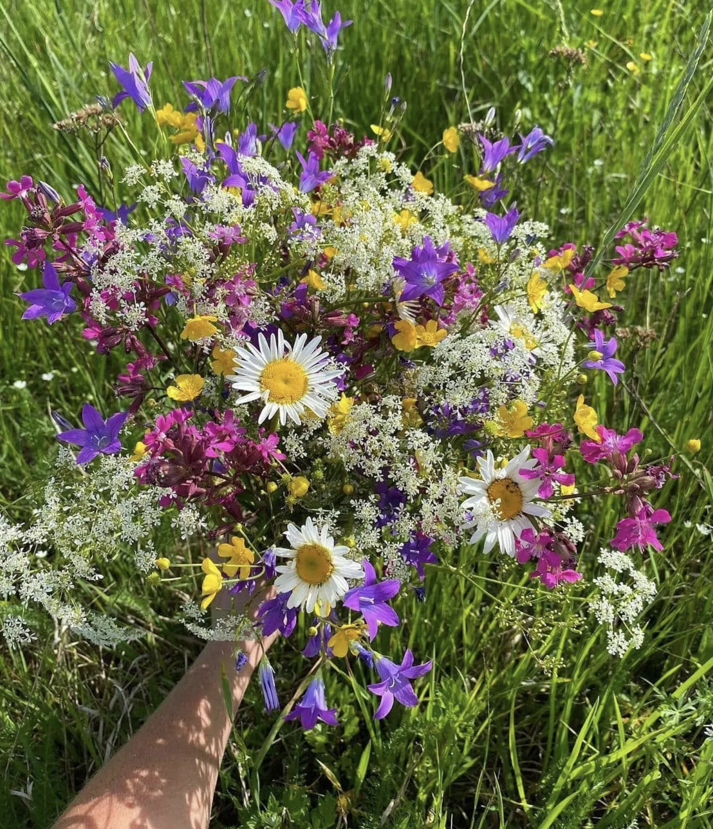 Зображення до Квіткова Паті 💐