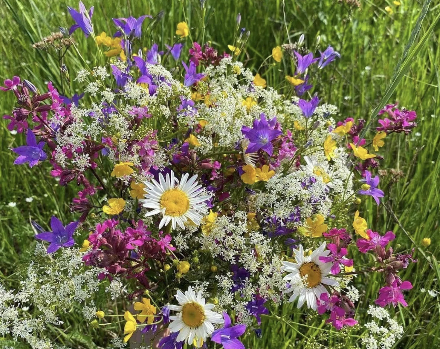 фото заходу Квіткова Паті 💐