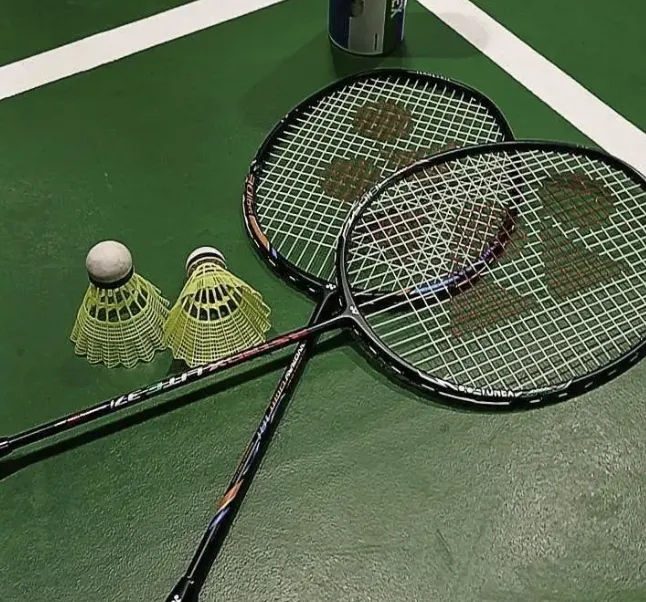 фото заходу Бадмінтон Паті 🏸